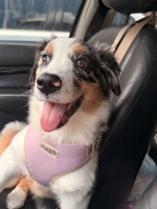 NalaAussie