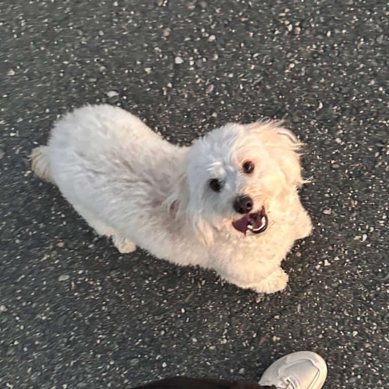 Nala