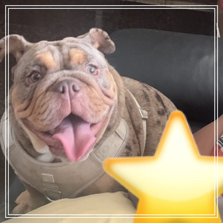 Nala19